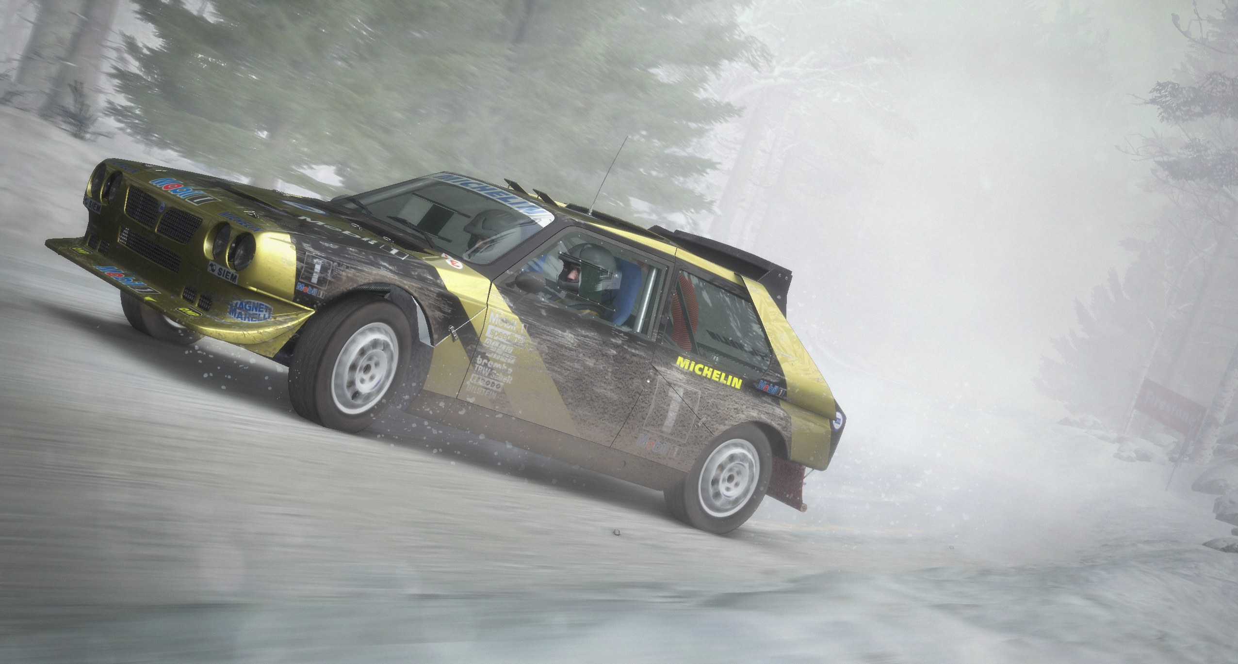 DiRT Rally - Imagen 19